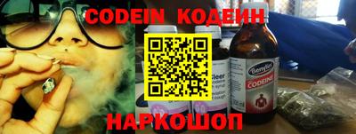 индика Камышлов
