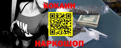 индика Камышлов