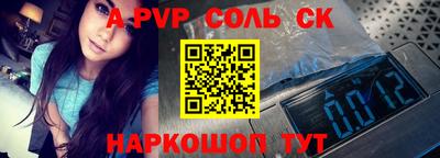 индика Камышлов