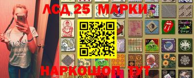 индика Камышлов