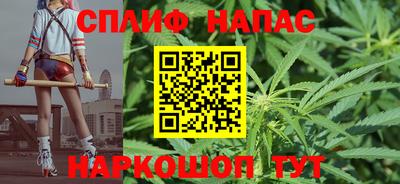 индика Камышлов