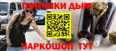 индика Камышлов