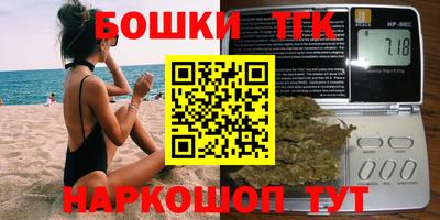 индика Камышлов