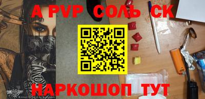индика Камышлов