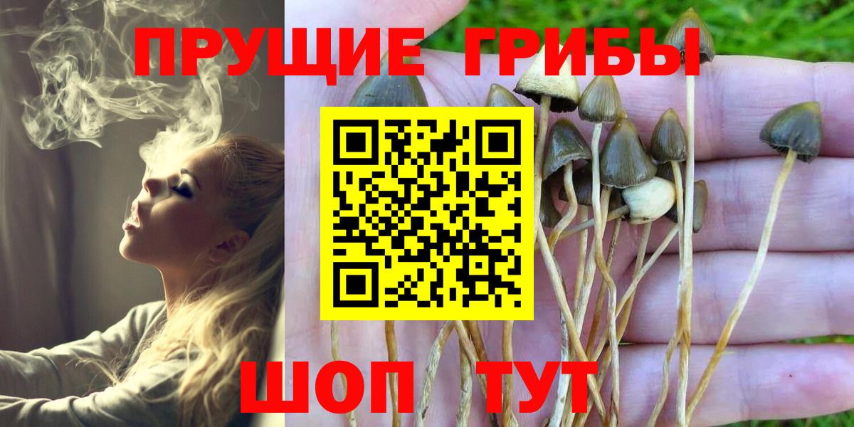 наркошоп  Галлюциногенные грибы Cubensis  Вход с VPN  Губаха 